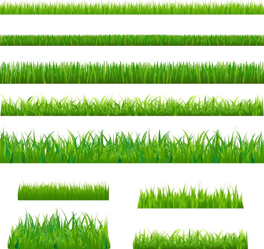 big green grass vector image