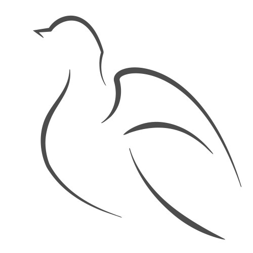 Dove outline vector image