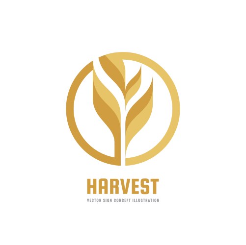 Harvest - logo template creative vector image