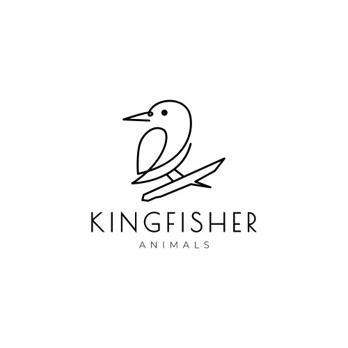 Little kingfisher bird logo design vector image