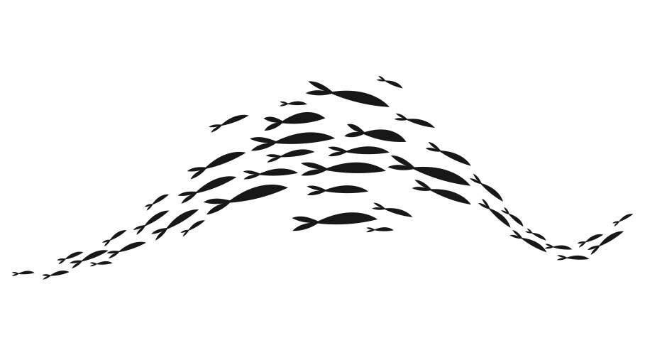 School fish a group silhouette swim vector image