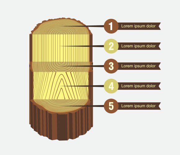 Tree log sawing scheme vector image