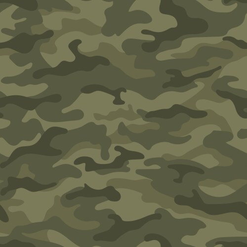 pale green army camouflage seamless pattern vector image