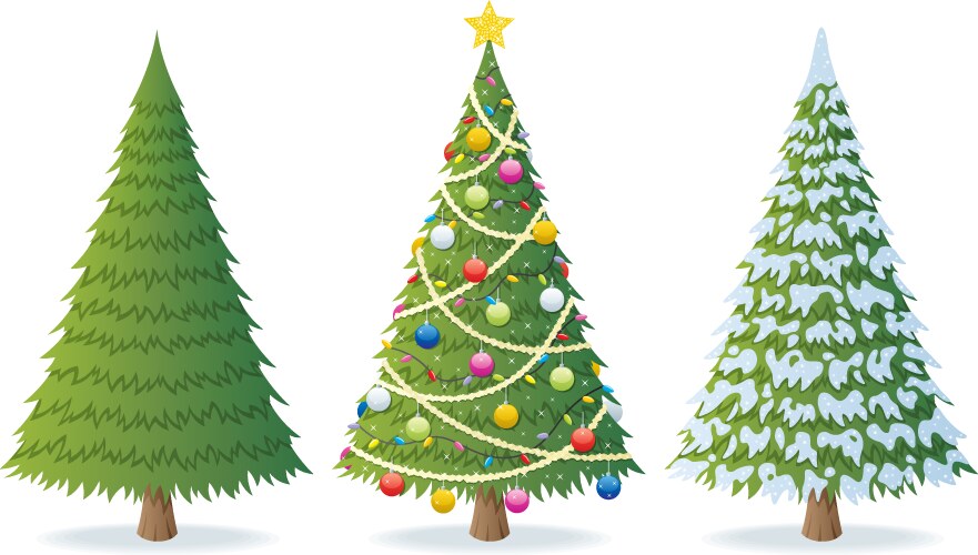 Christmas tree vector image