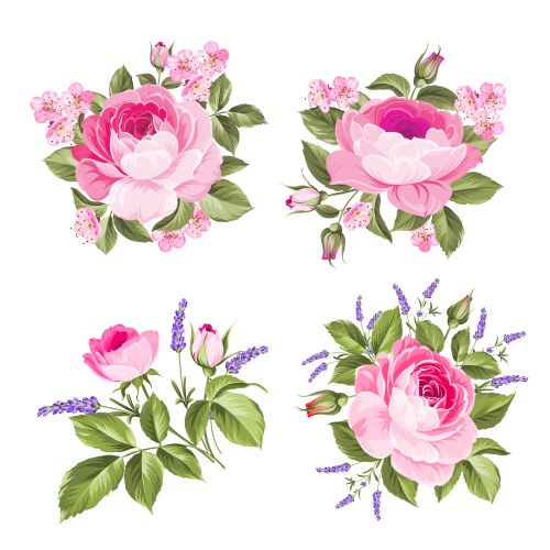 Set blooming flowers for your design vector image