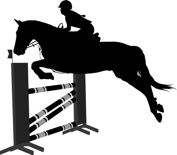 jumping showequestrian sport horse with jockey vector image