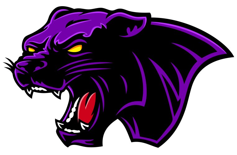 Cartoon angry black purple panther head vector image