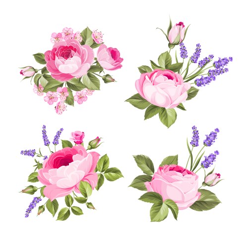 Set blooming flowers for your design vector image