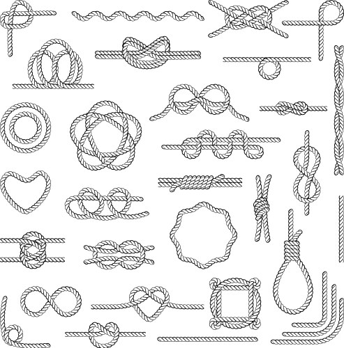 Nautical rope knots vector image