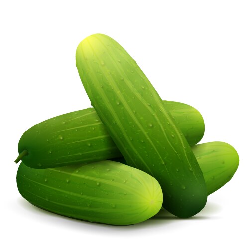 Heap of fresh cucumbers close up vector image