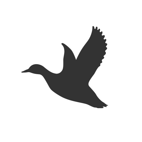 Duck flying vector image