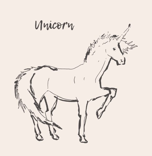 beautiful unicorn wind sketch vector image