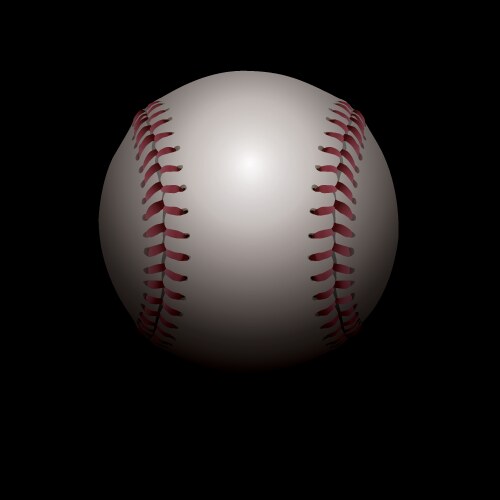 baseball on black background vector image