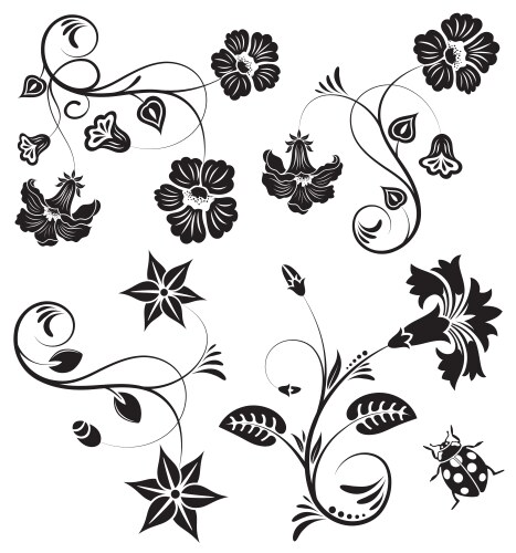 Background flower vector image