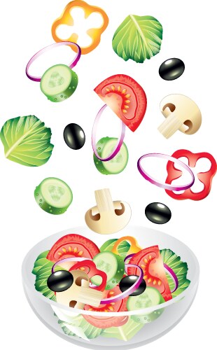 Flying salad vector image