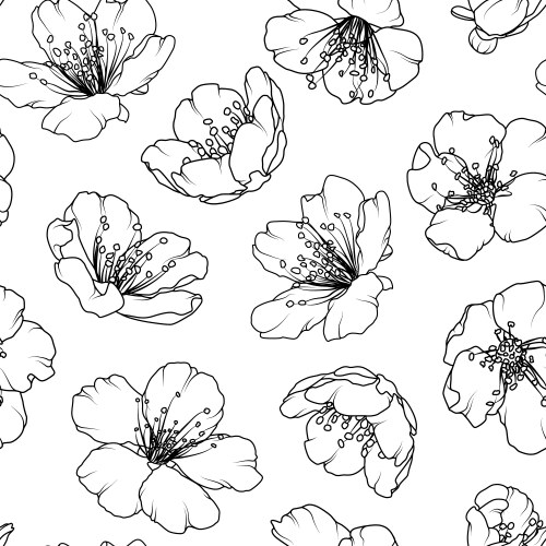 Cherry sakura blossom floral seamless pattern vector image