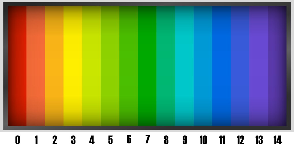 Vibrant color spectrum with numerical labels vector image