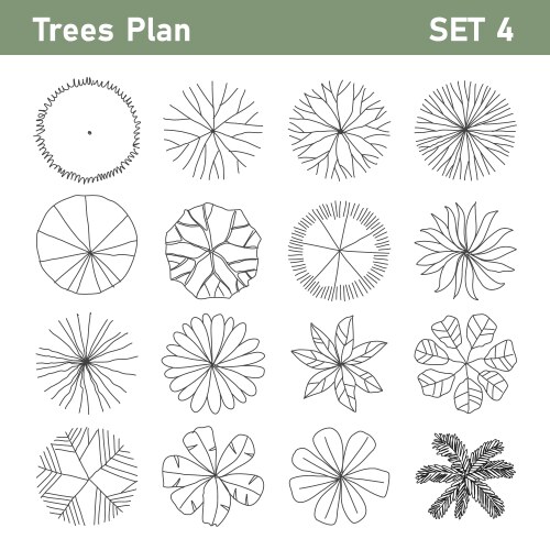 Tree plan top view for landscape set 4 vector image