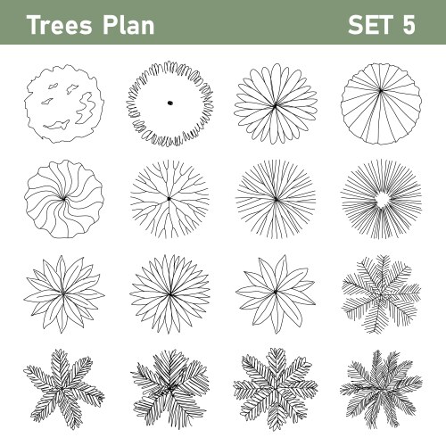 Tree plan top view for landscape set 5 vector image