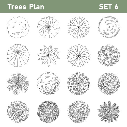 Tree plan top view for landscape set 6 vector image