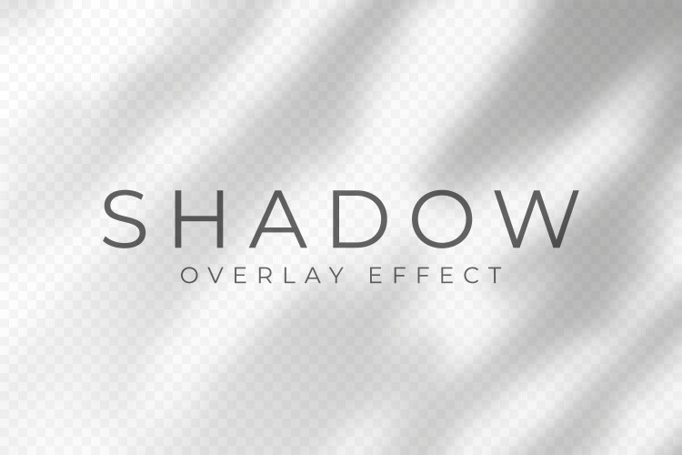 Shadow overlay effect transparent soft light vector image