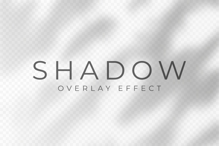 Shadow overlay effect transparent soft light vector image