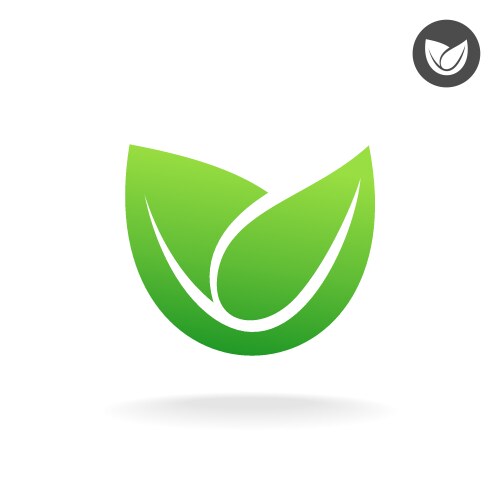 green leaf icon eco symbol vector image