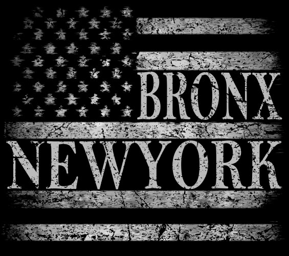 new york city brooklyn stylized american flag vector image