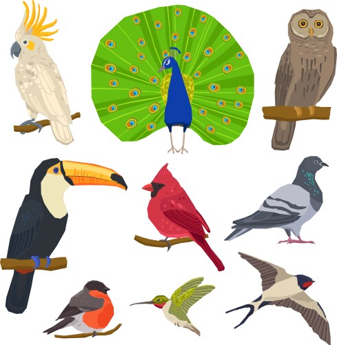 bird drawn icon set vector image