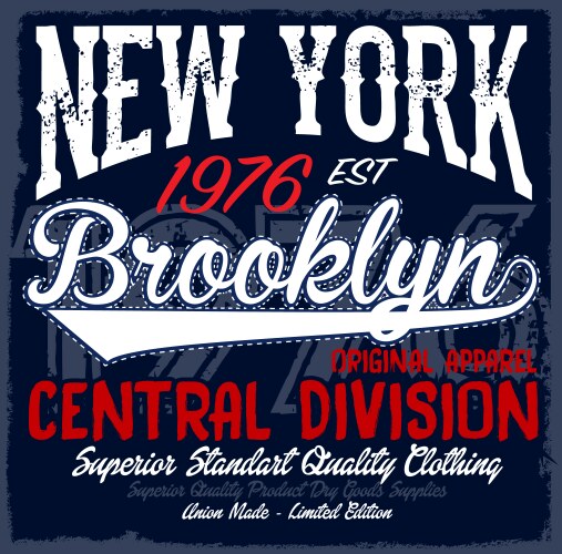 new york city brooklyn grunge background vector image