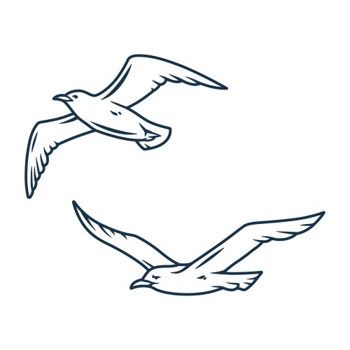 seagull in sky for nautical marine logo vector image