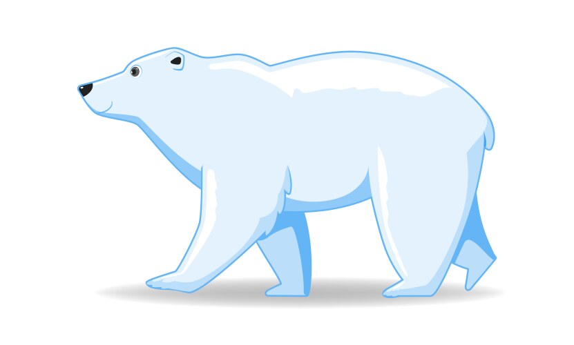 Polar bear animal standing on a white background vector image