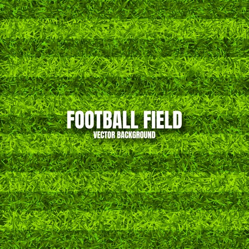 soccer playing field with green grass football vector image