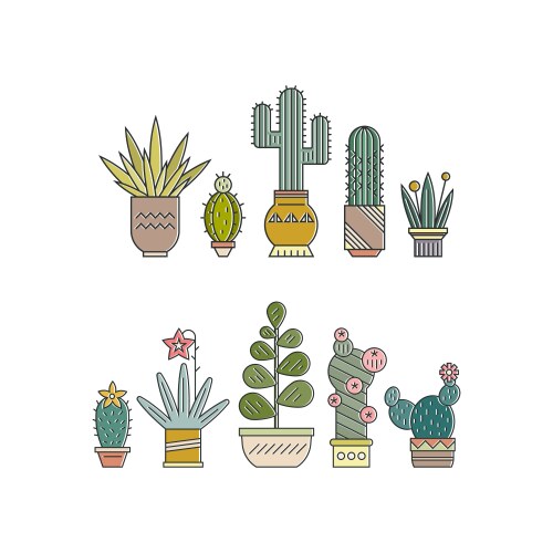 Cactus vector image