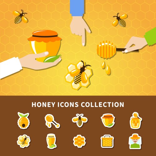 Honey and hands composition vector image