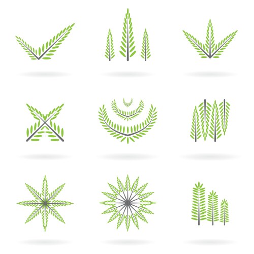 Green symbol design vector image