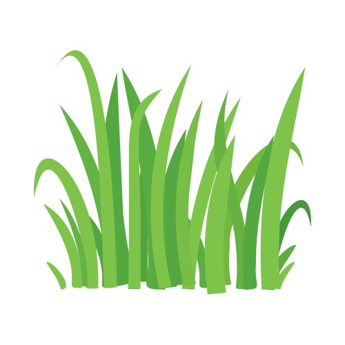 Grass cartoon texture field shape vector image