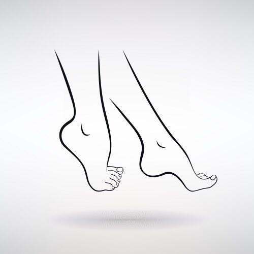 female feet vector image