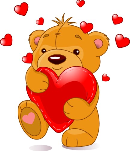 Bear with heart vector image