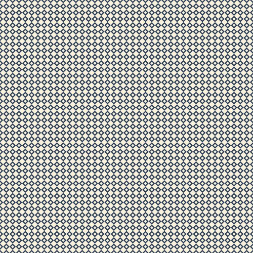 Elegant seamless pattern vector image