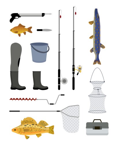 Fishing tools and equipment vector image