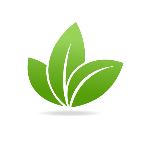 Eco icon with green leaf isolated on white vector image