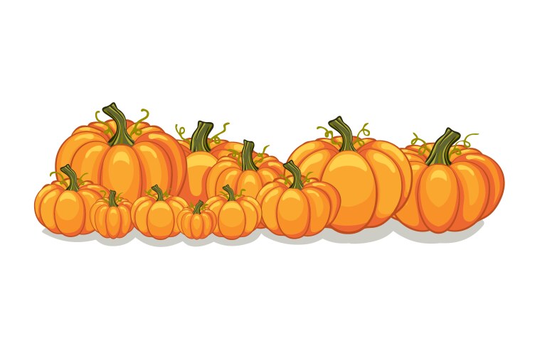 Halloween pumpkins horizontal banner vector image