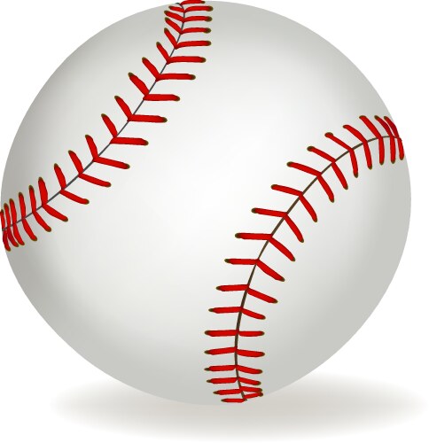 Baseball vector image