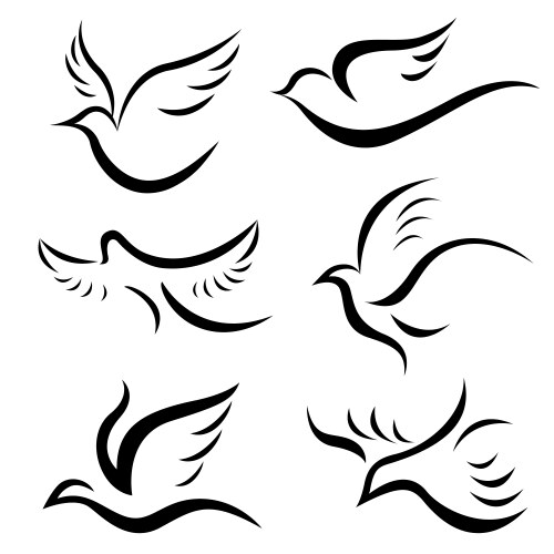 Birds vector image