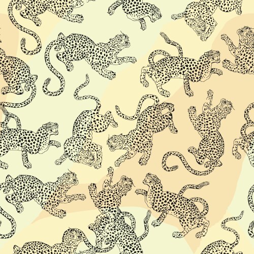 Leopards vector image