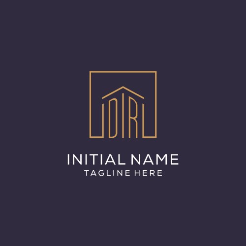 Initial dr logo with square lines luxury vector image