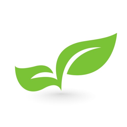 Eco icon green leaf isolated vector image