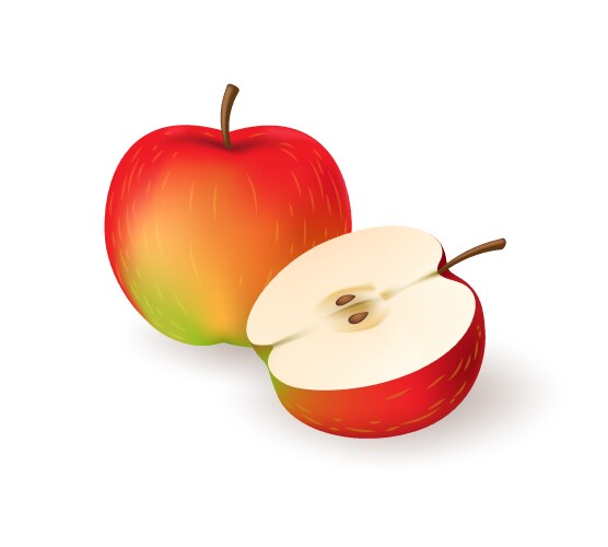 Season apple closeup vector image