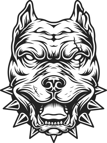 Pitbull head in black and white color style vector image